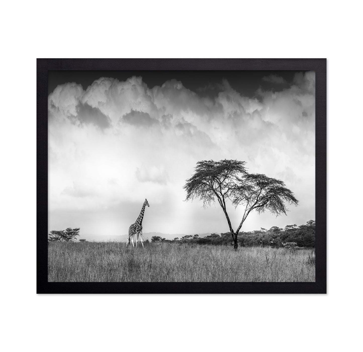 And I Dreamed Of Africa