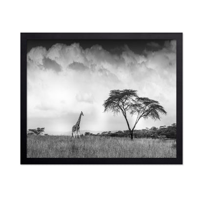 And I Dreamed Of Africa