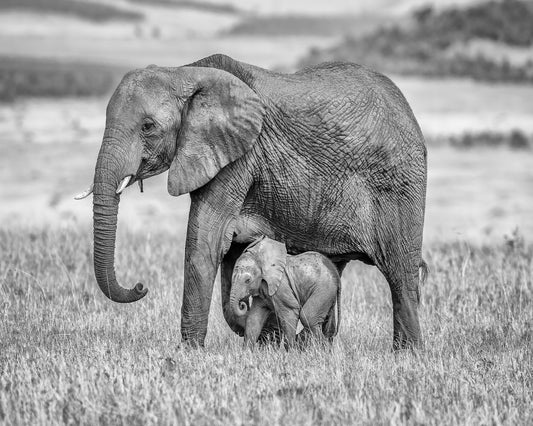 Staying Close And Protected