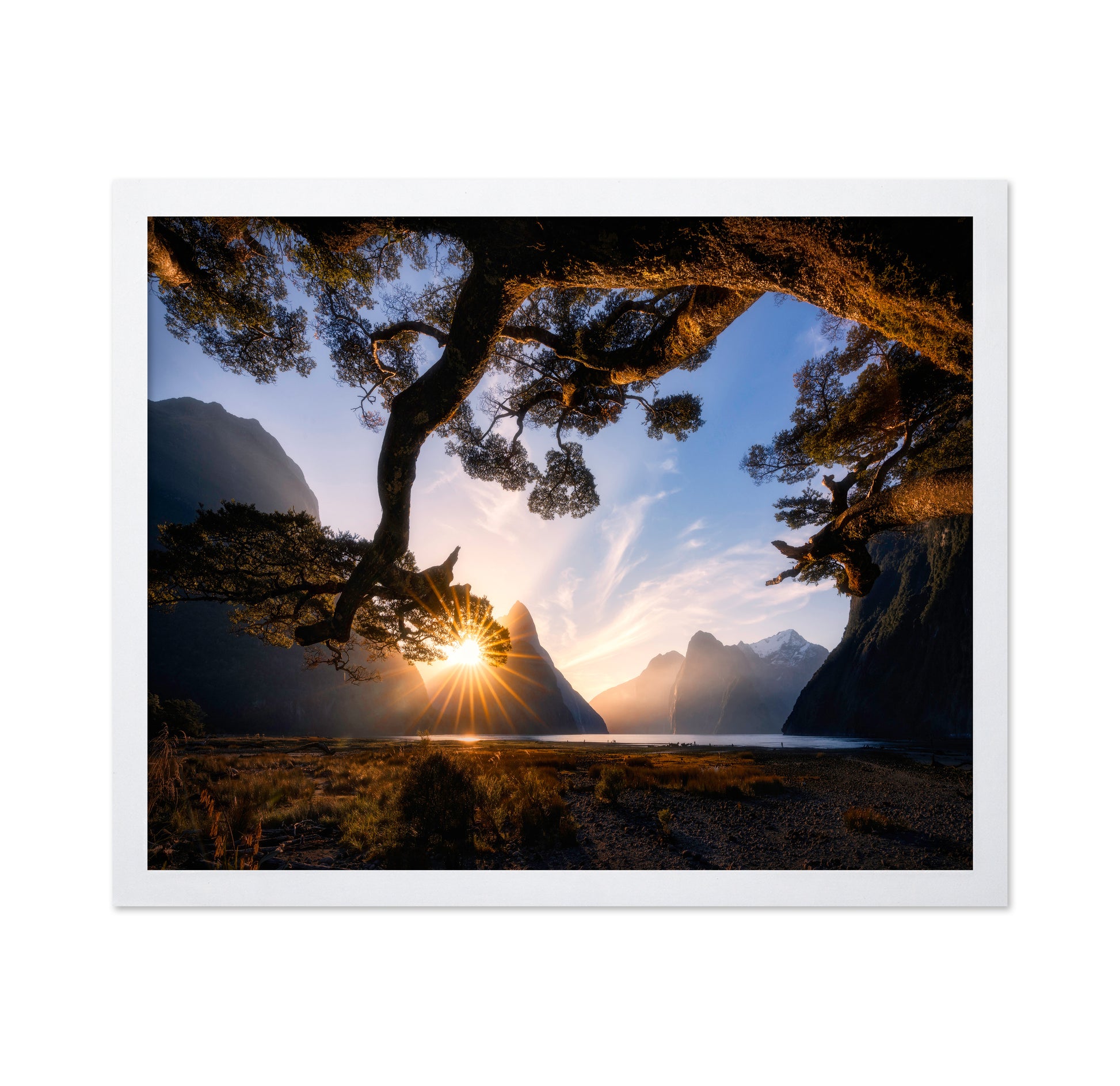 Sunny Day in Milford Sound