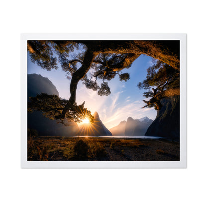 Sunny Day in Milford Sound