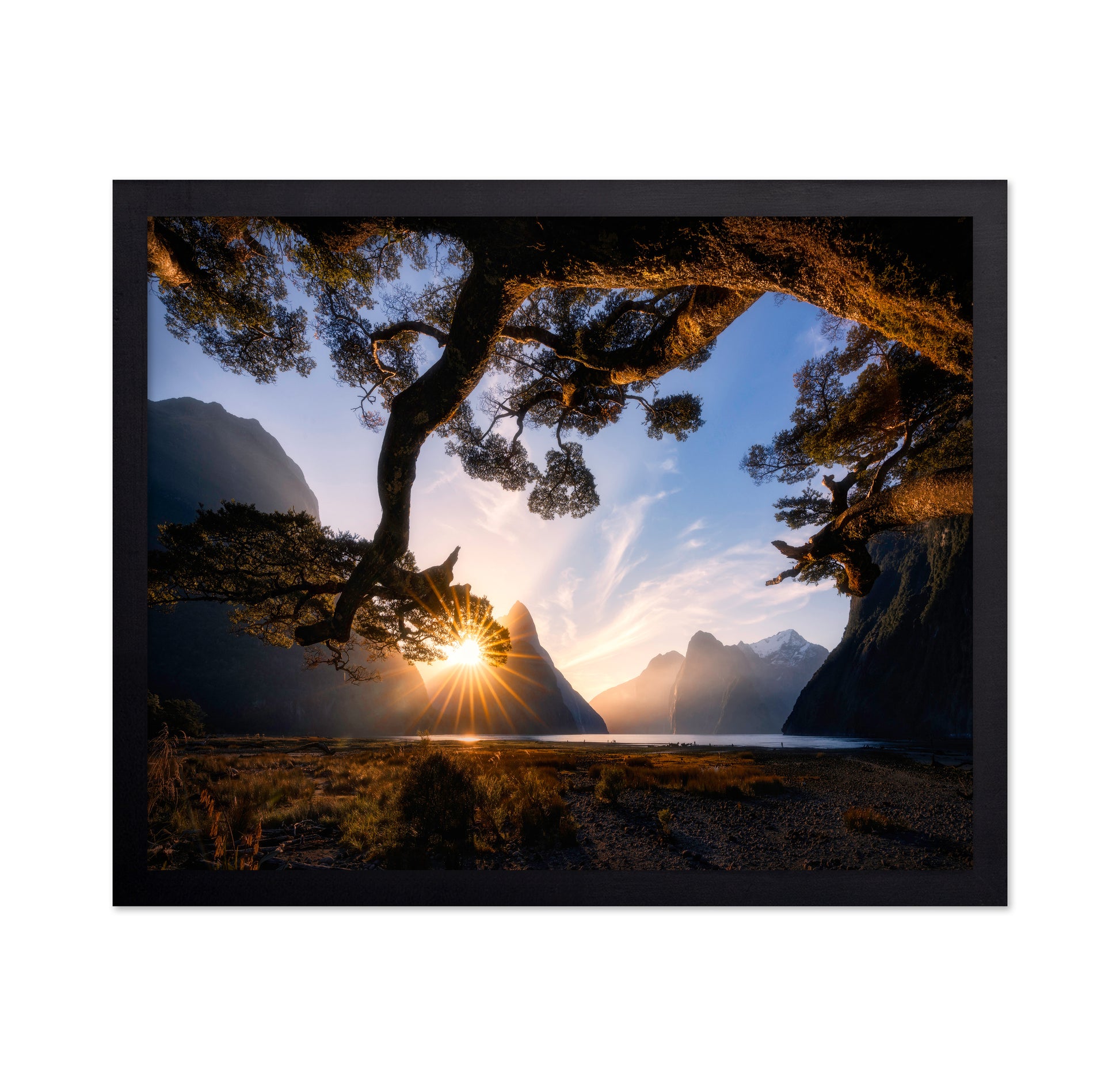 Sunny Day in Milford Sound