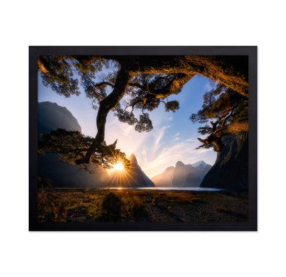 Sunny Day in Milford Sound