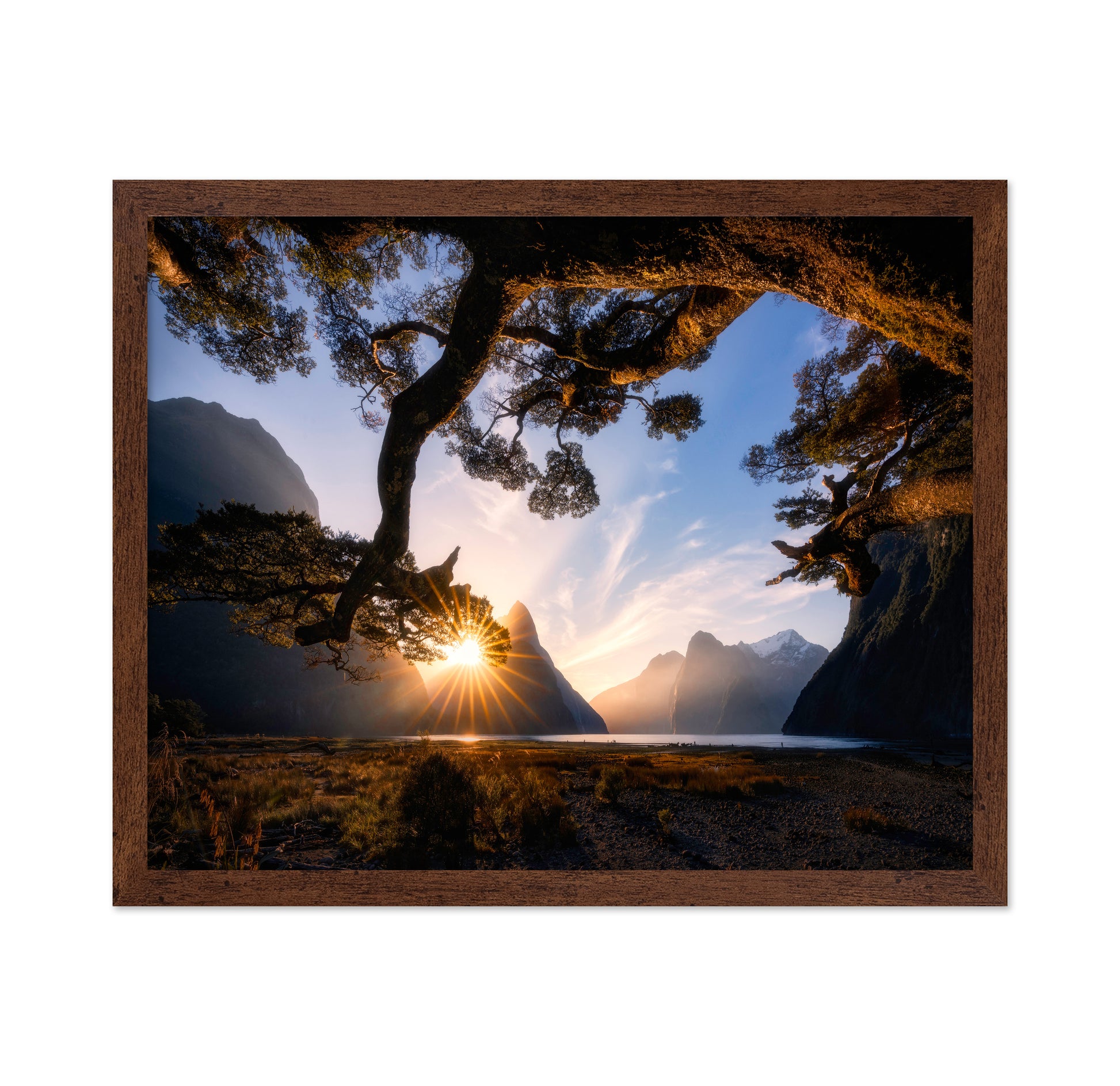 Sunny Day in Milford Sound