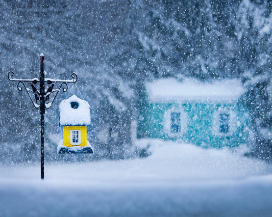Snowy Wonderland