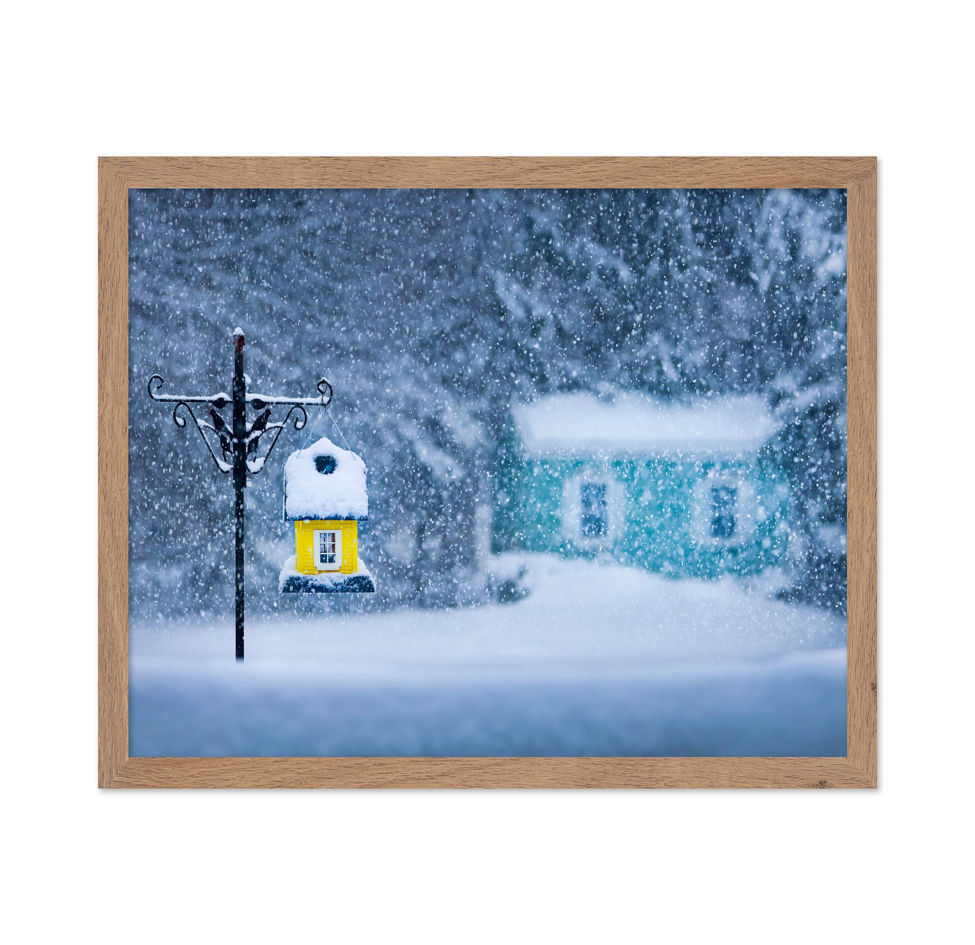 Snowy Wonderland