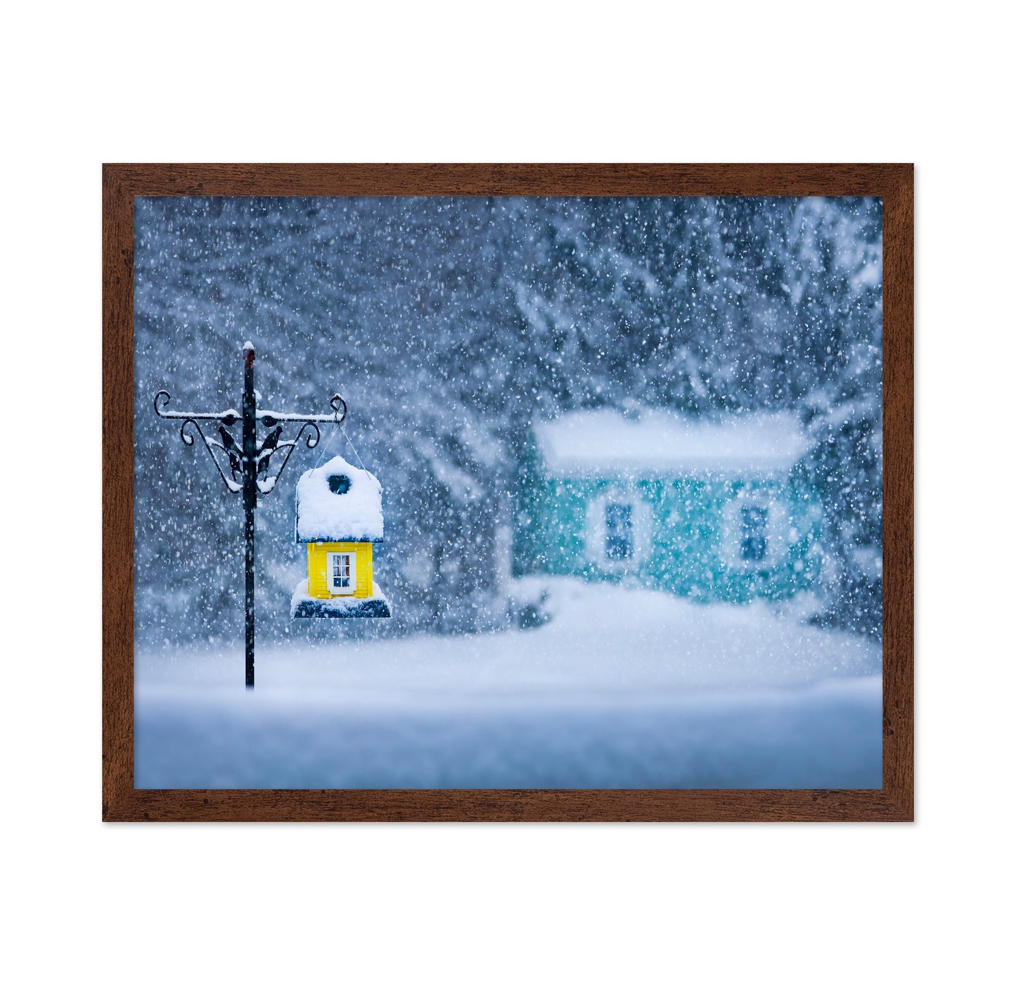 Snowy Wonderland