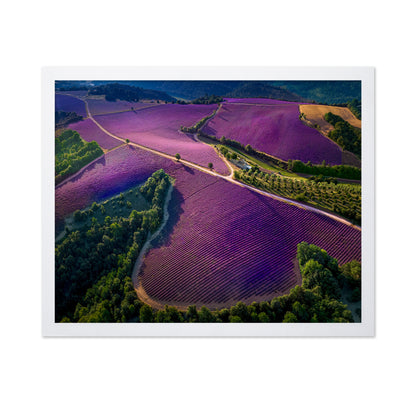 Provence Ultra Purple