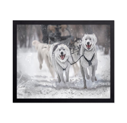 Winter Sport