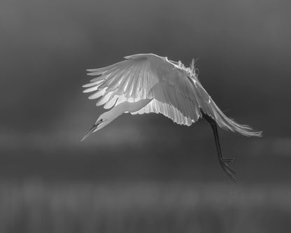 Prepare for landing