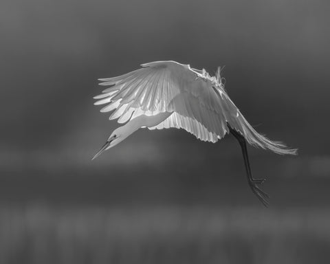 Prepare for landing