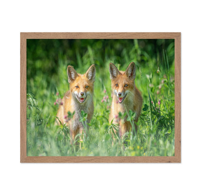 Red Fox Family Portrait