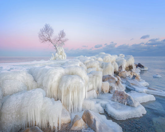 Ice Wonderland