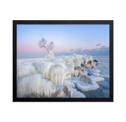 Ice Wonderland