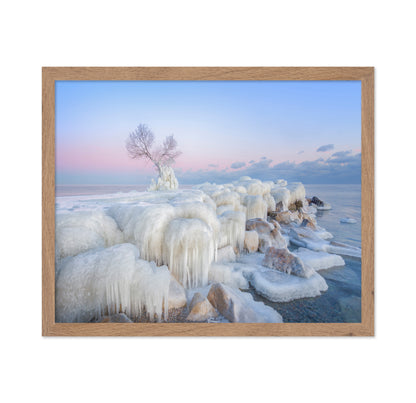 Ice Wonderland