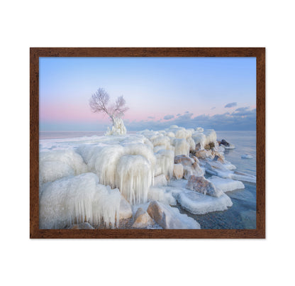 Ice Wonderland