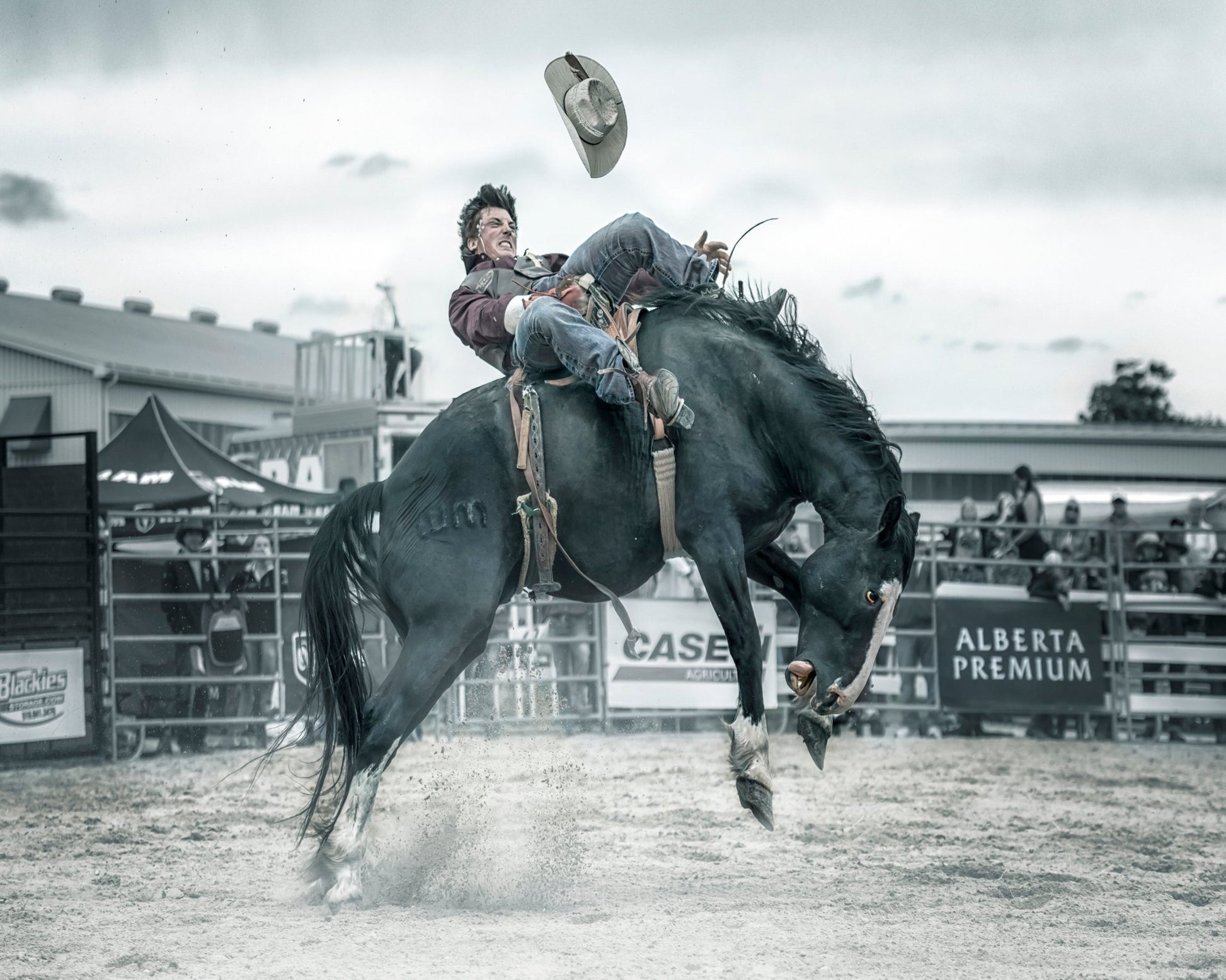 Cowboy In Action