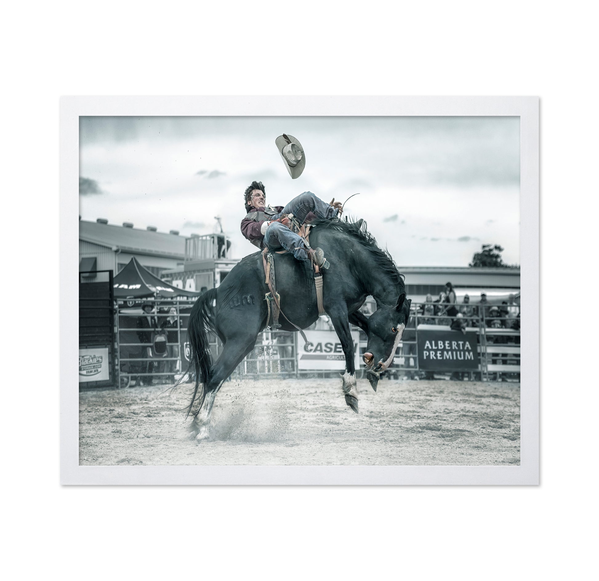 Cowboy In Action