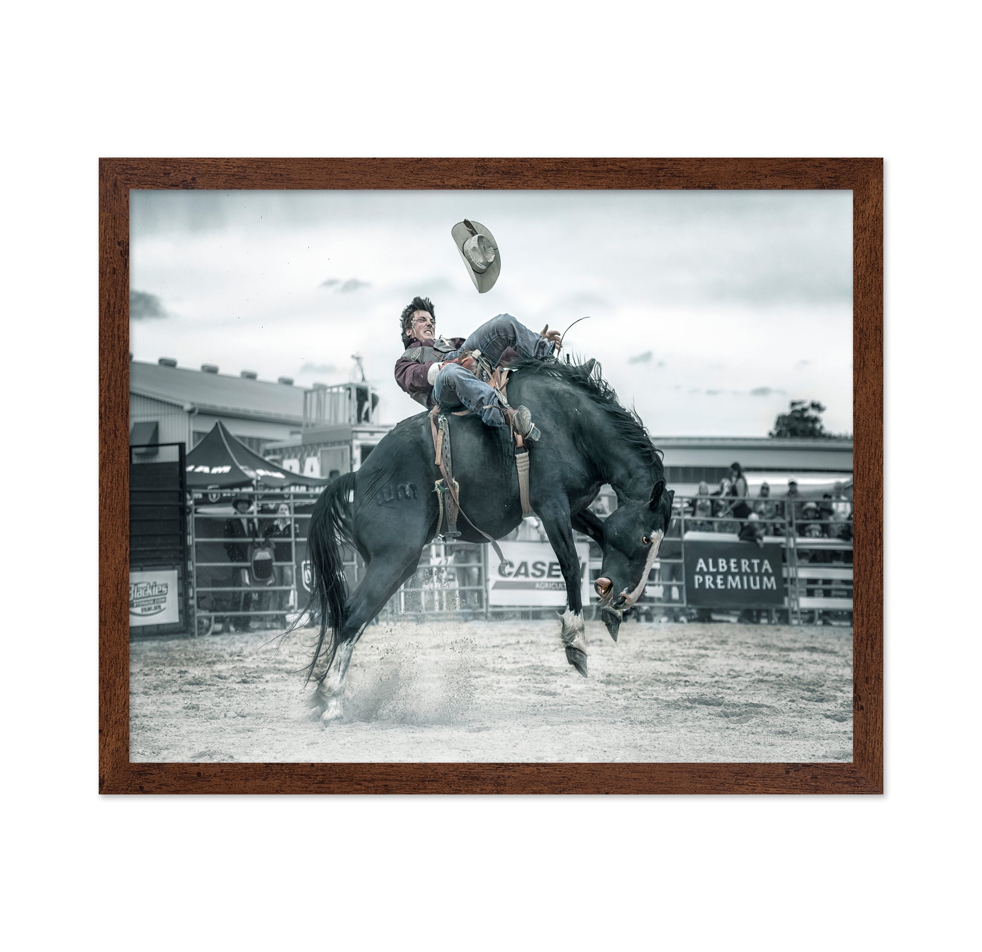 Cowboy In Action