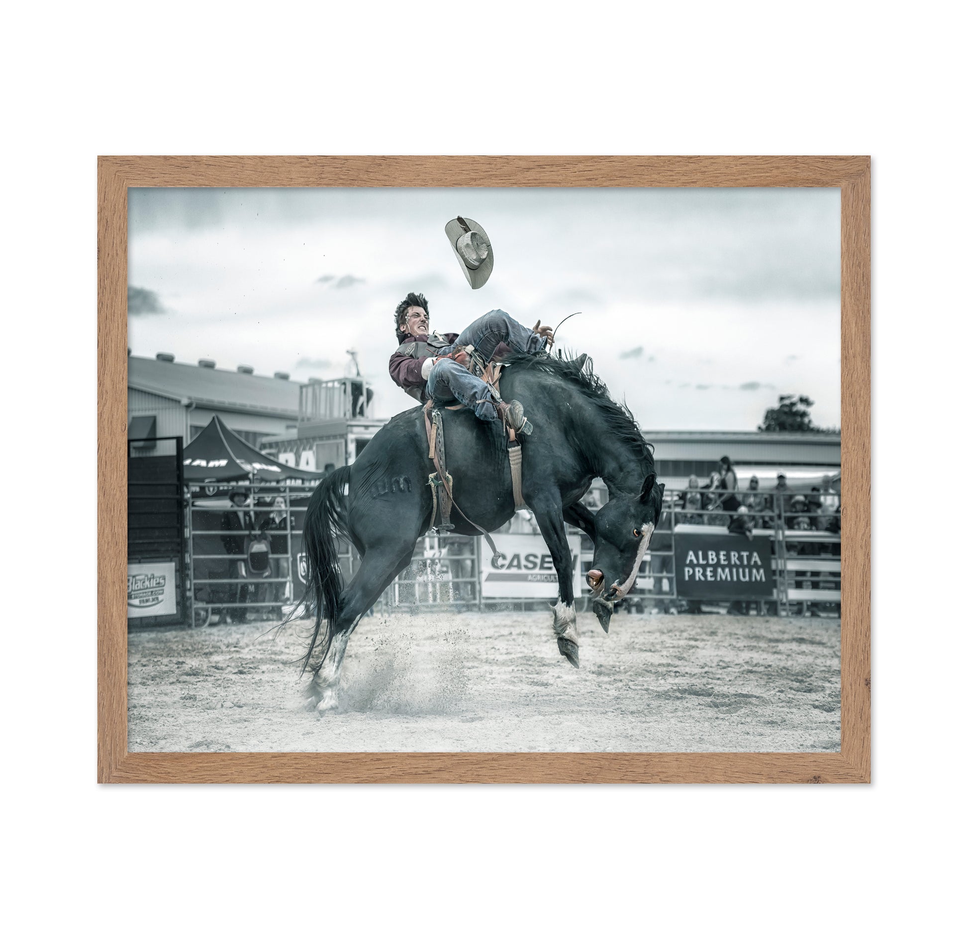 Cowboy In Action
