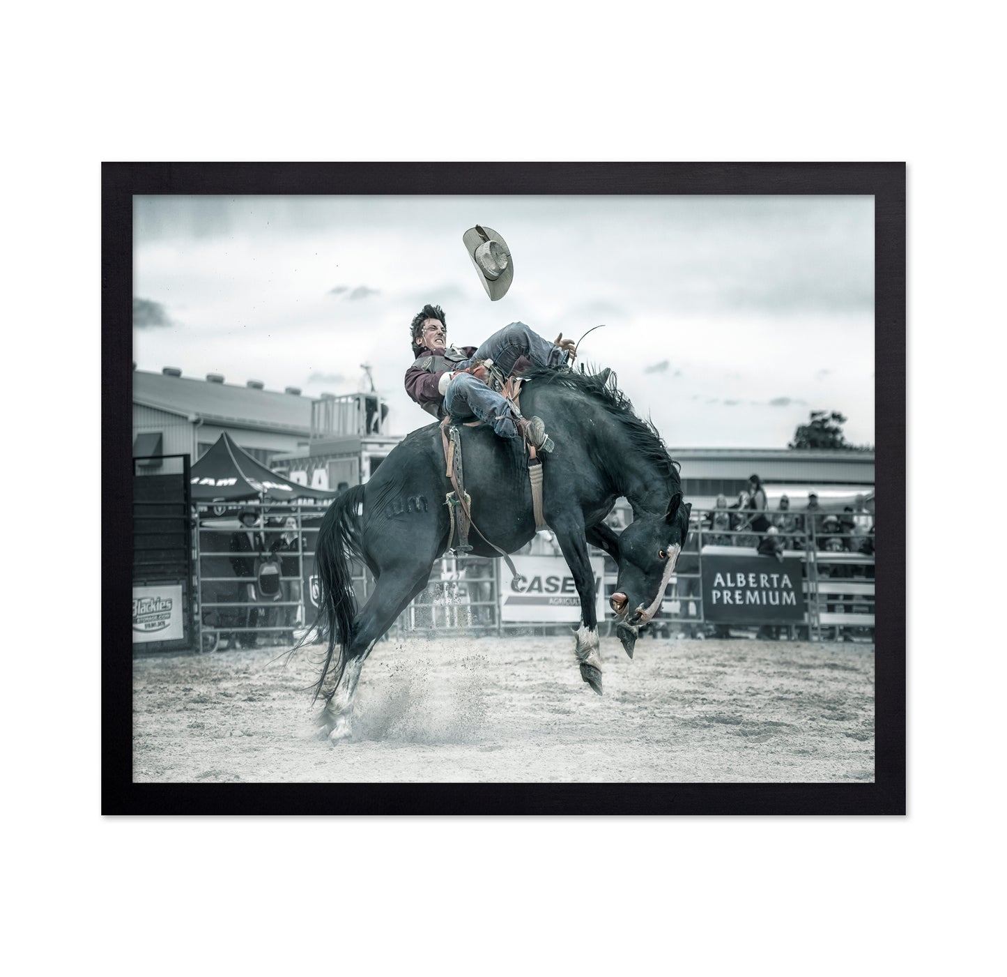 Cowboy In Action