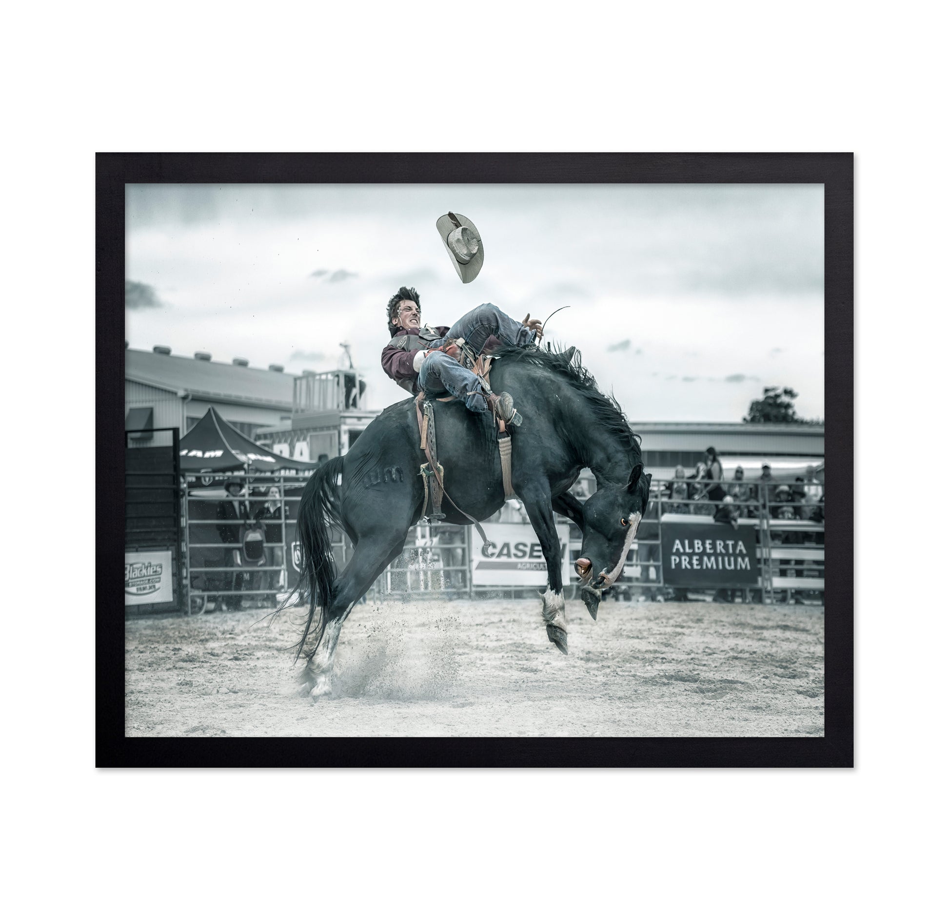 Cowboy In Action