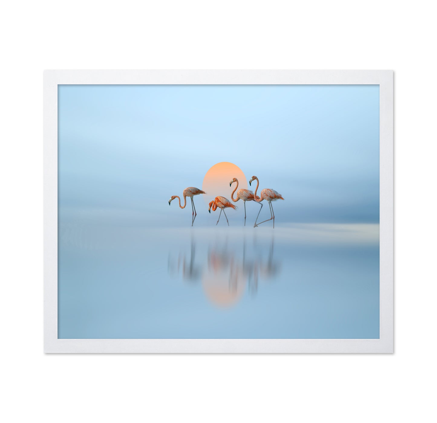 Flamingo in Haven