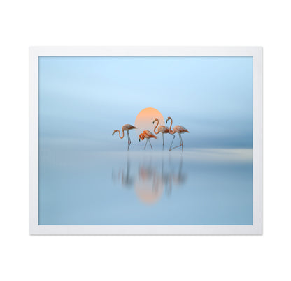 Flamingo in Haven