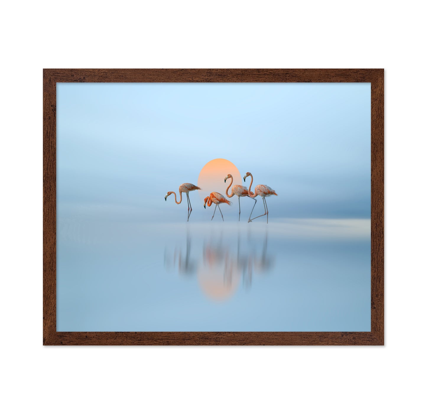 Flamingo in Haven