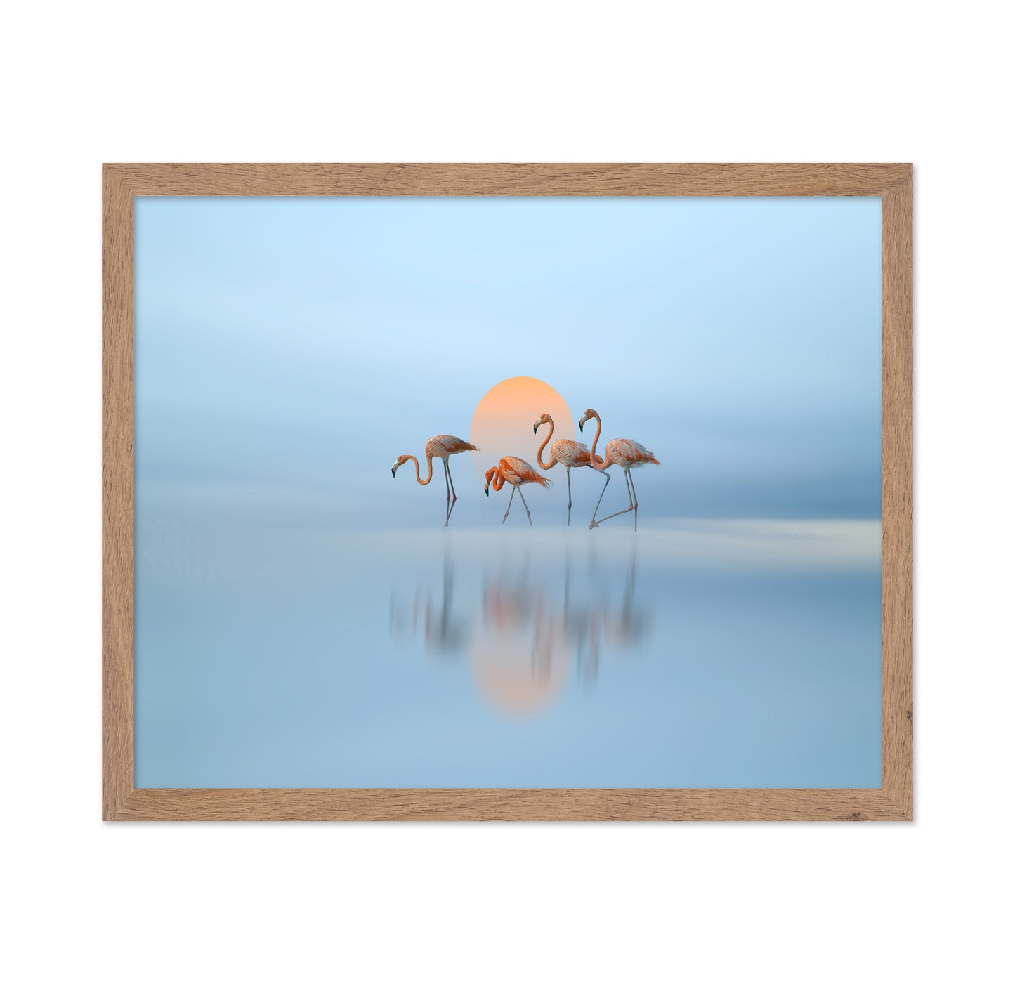 Flamingo in Haven