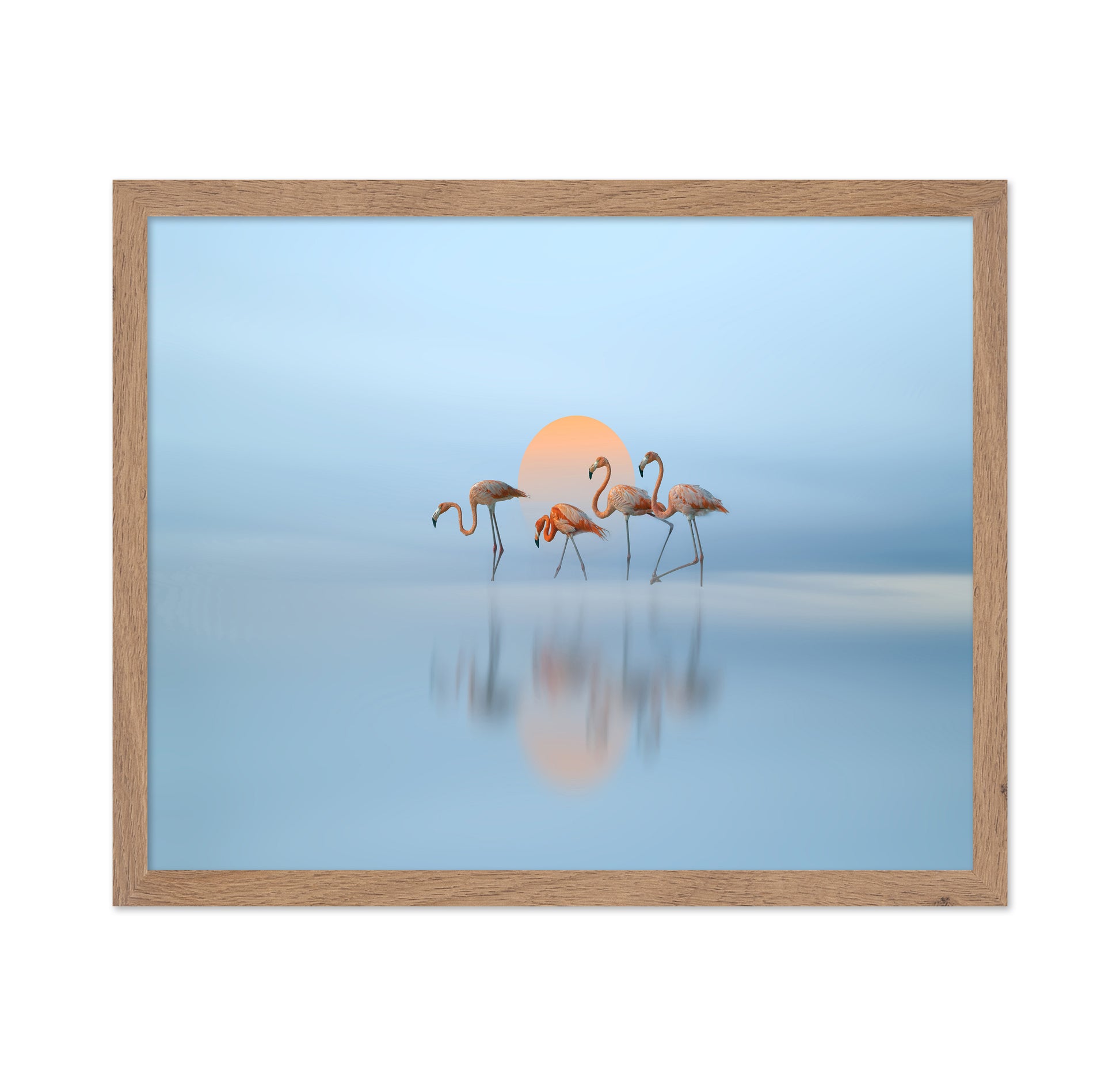 Flamingo in Haven