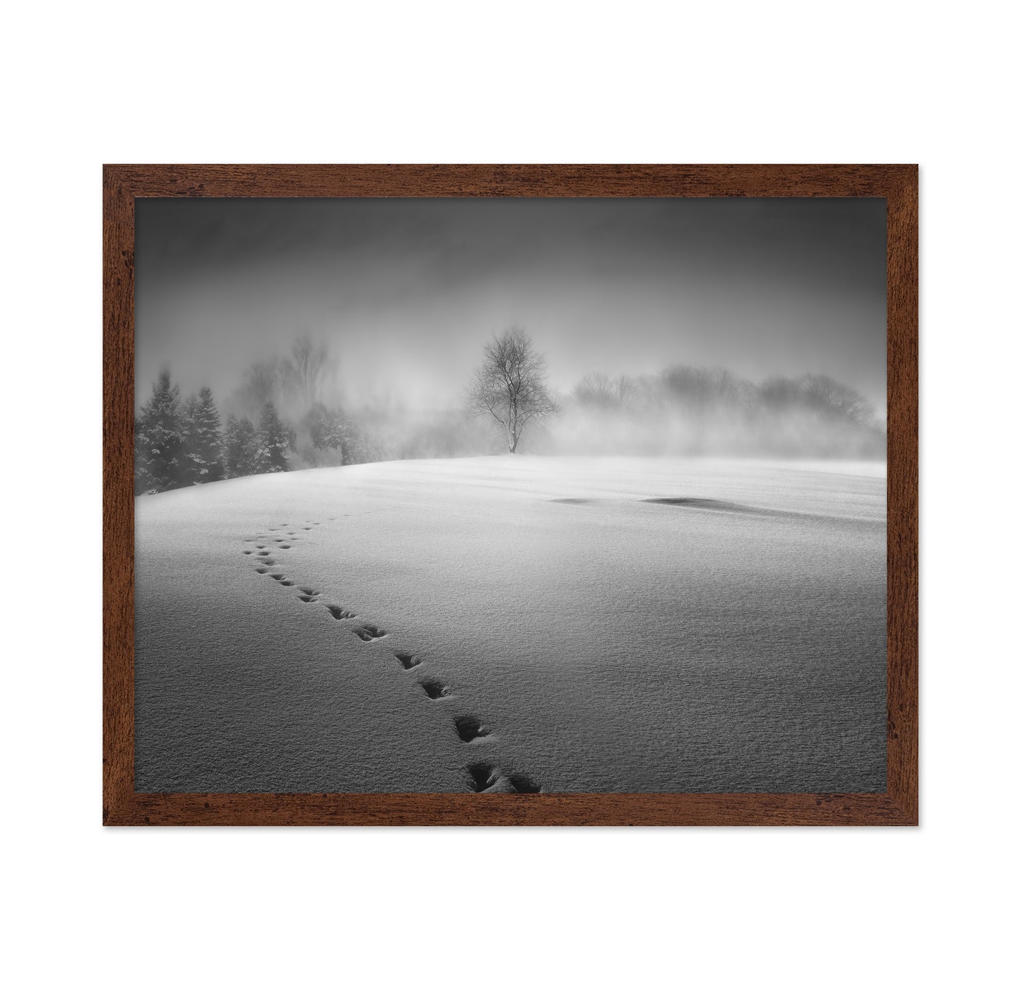 Winter Scenery