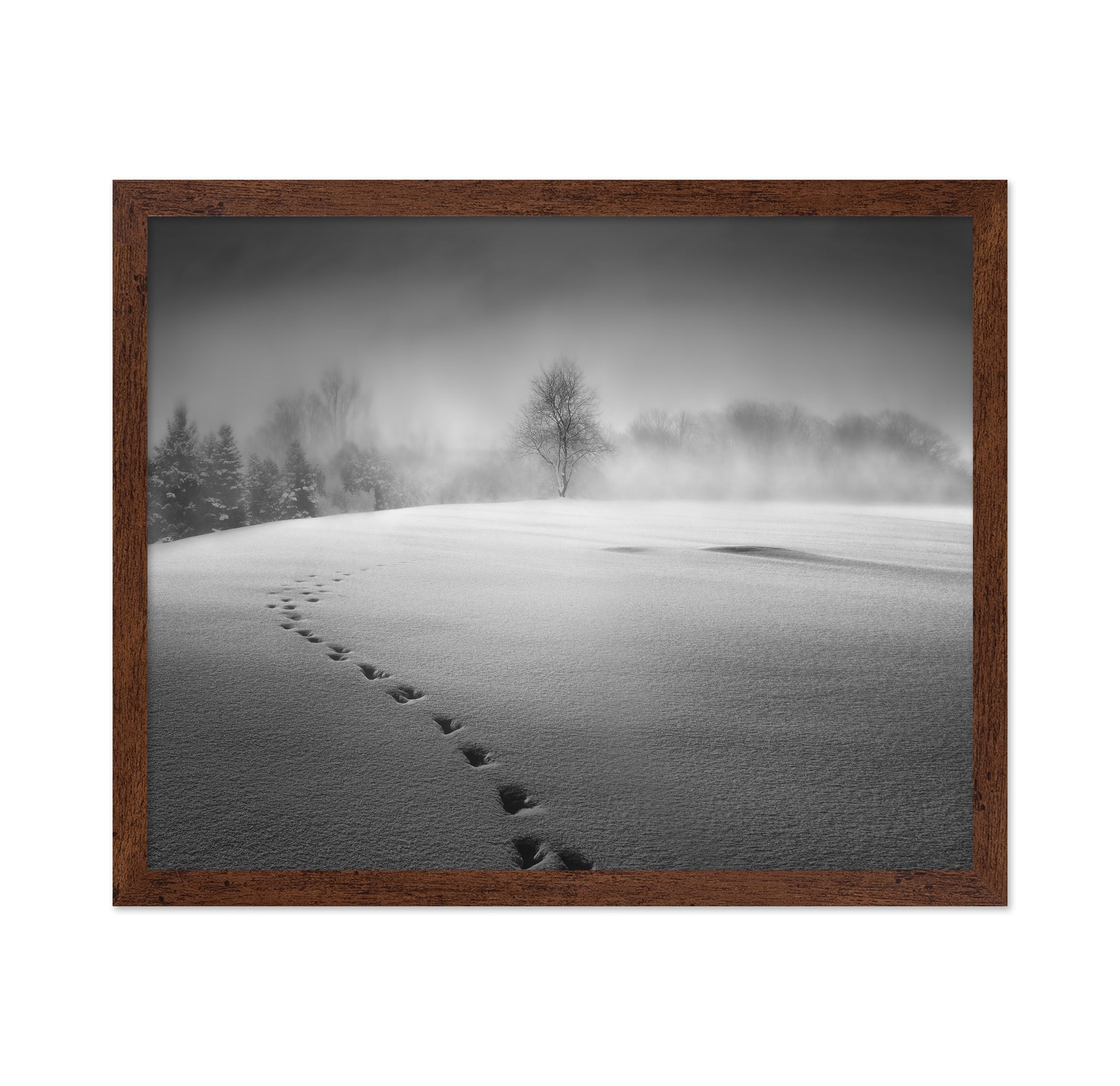 Winter Scenery