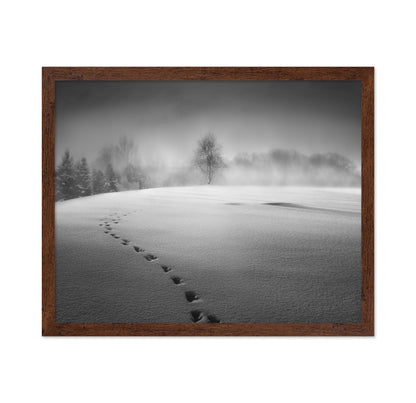 Winter Scenery