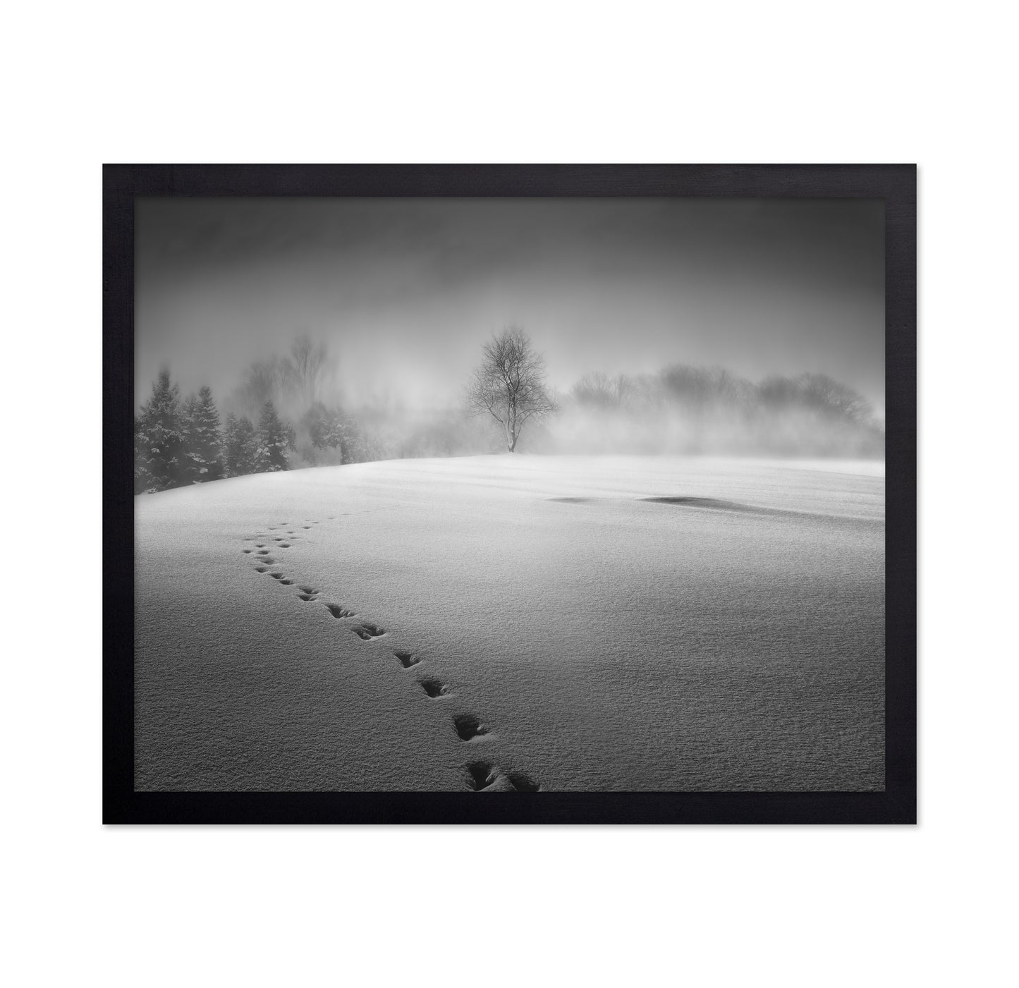 Winter Scenery