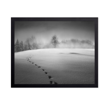 Winter Scenery