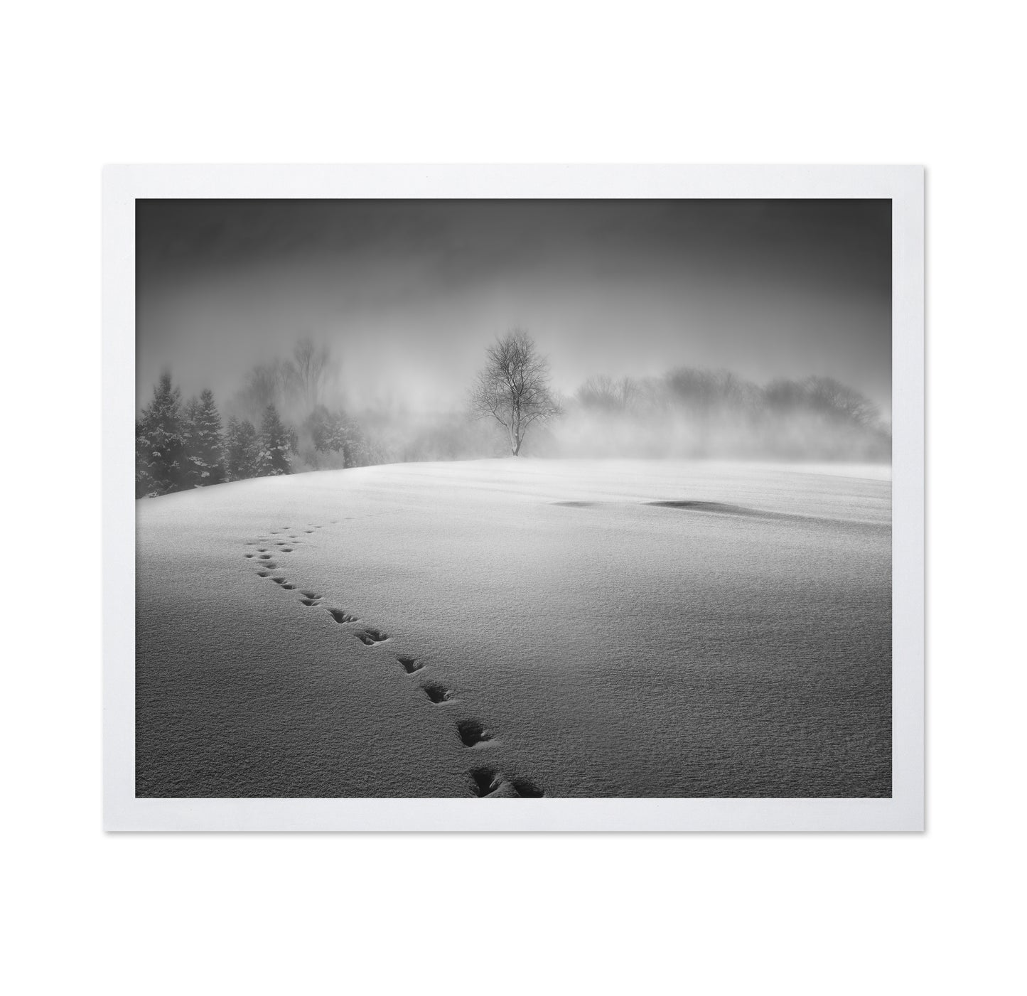 Winter Scenery
