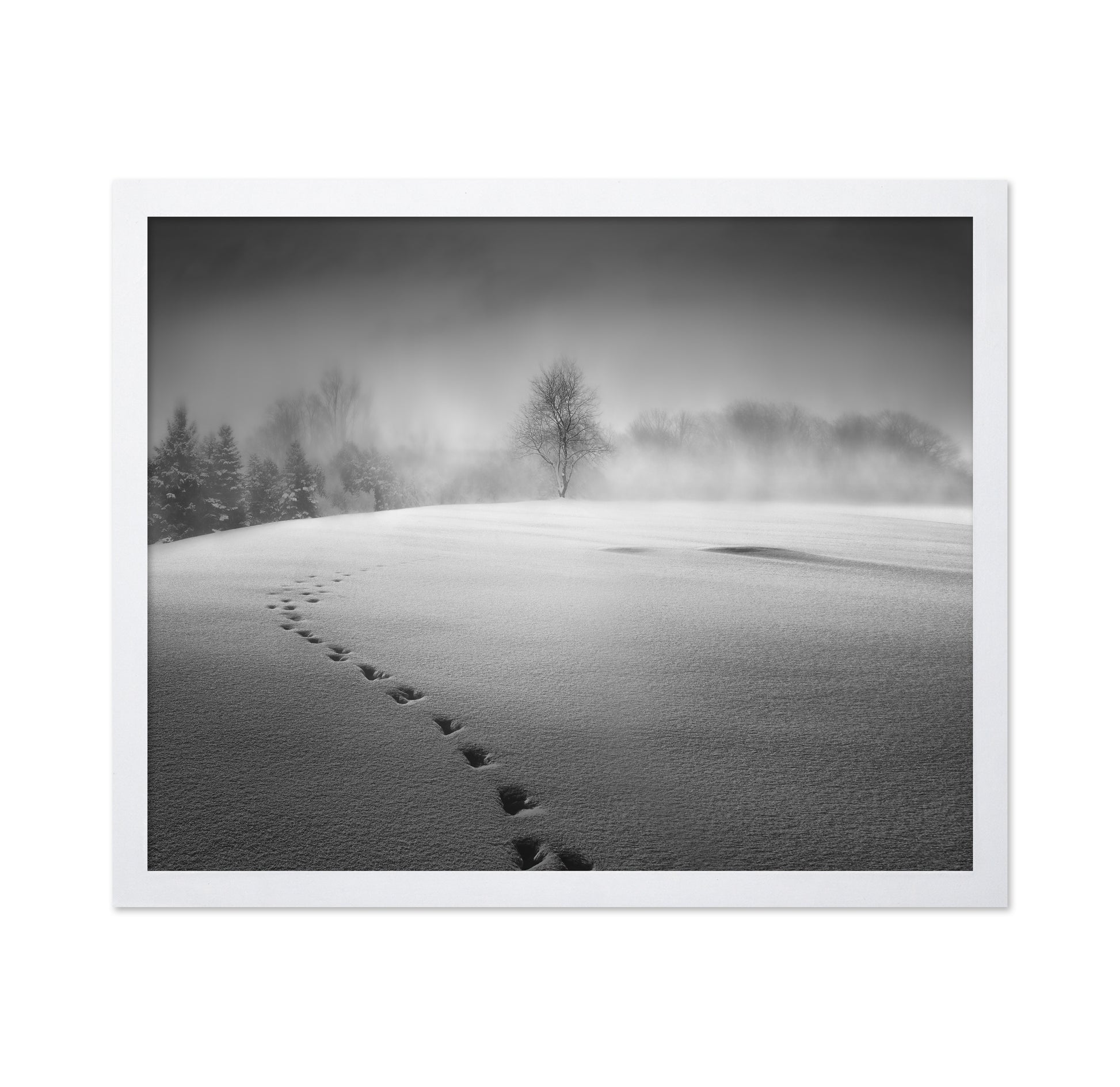 Winter Scenery