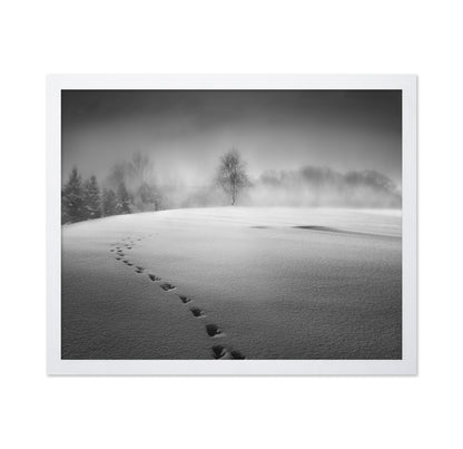Winter Scenery