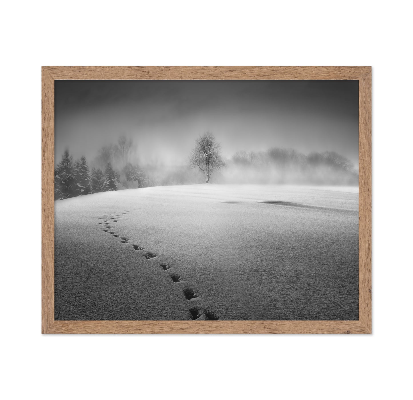 Winter Scenery