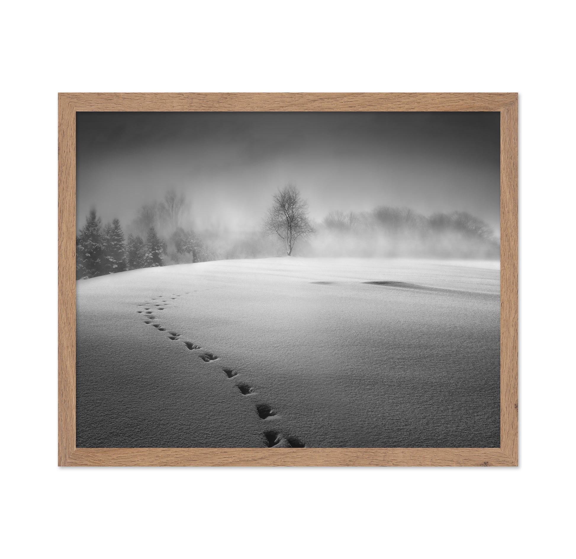 Winter Scenery