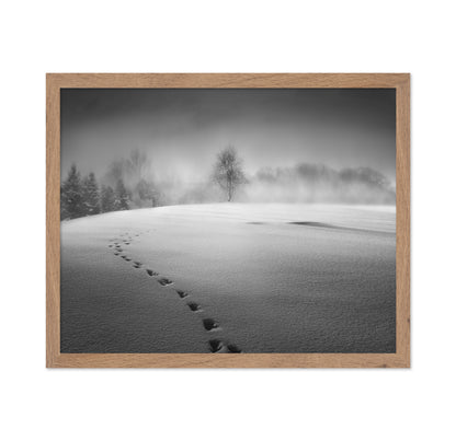 Winter Scenery