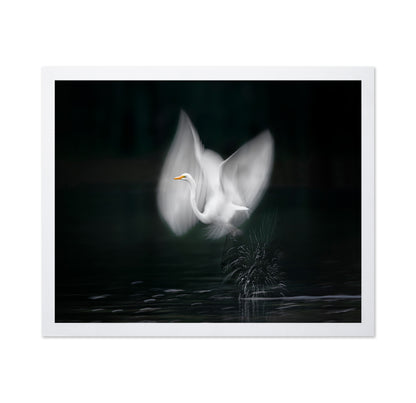 Wings of Light