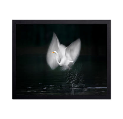 Wings of Light