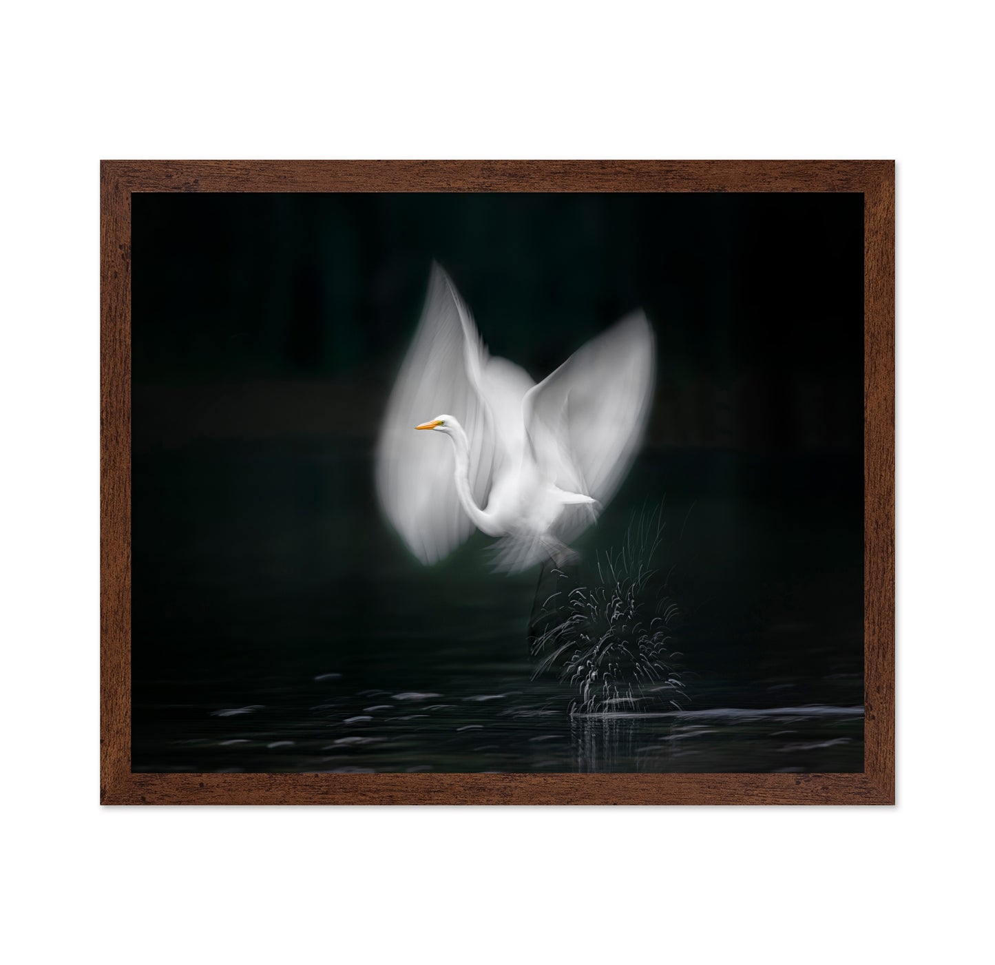 Wings of Light