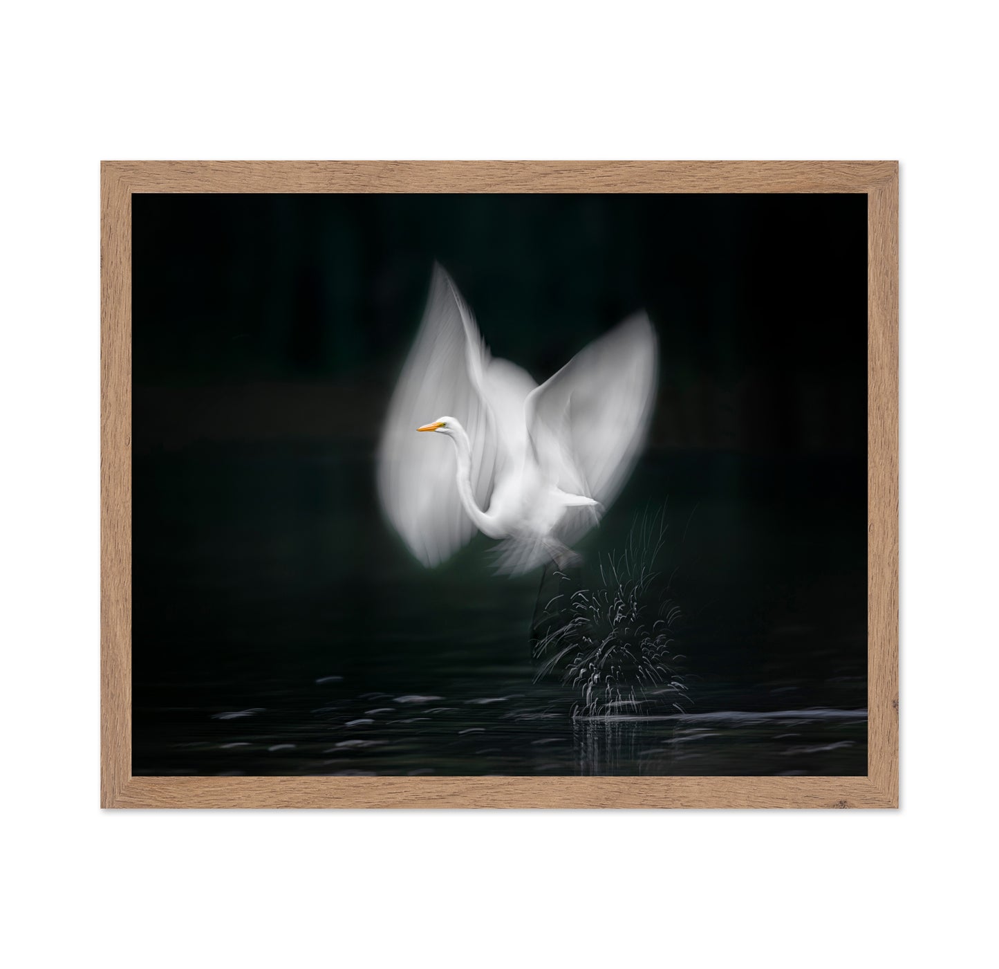 Wings of Light