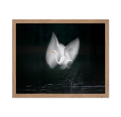 Wings of Light