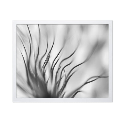 Dandelion Close Up