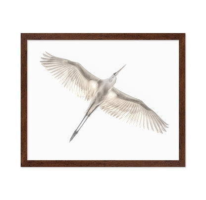 Fly