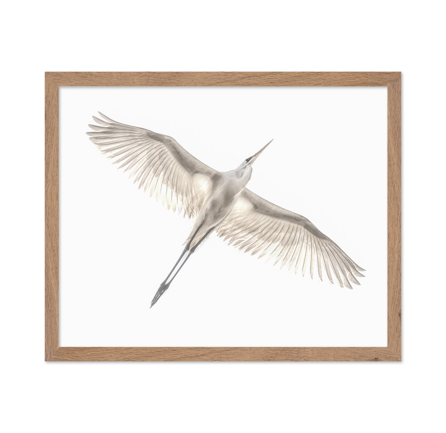 Fly